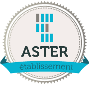 Aster Entreprise - un site web conçu pour les artisans et commerçants